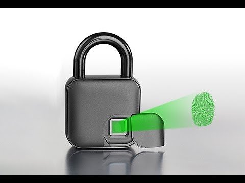 Best Fingerprint Padlocks
